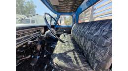 FORD - F-350 - 1976/1976 - Azul - R$ 40.000,00