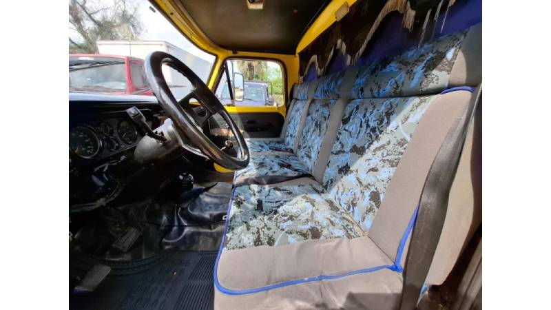 FORD - F-4000 - 1976/1976 - Amarela - R$ 50.000,00